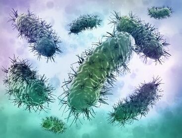 Infección